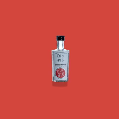 Strawberry and Mint Gin Mini